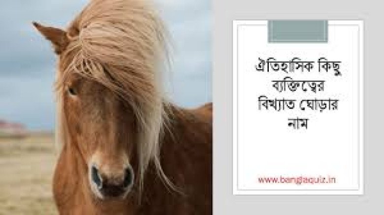 ফরিদপুরে ‘পাগলা’ ঘোড়ার তাণ্ডব, নারীসহ অন্তত ১০ জন আহত
