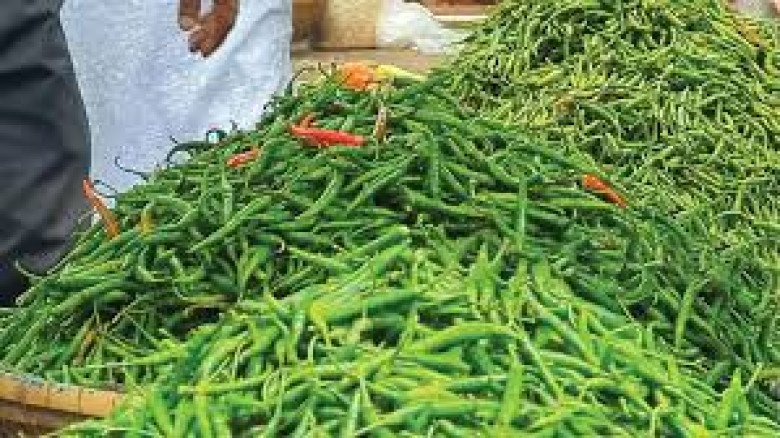 সবজির বাজারে অস্থিরতা, কাঁচা মরিচ কেজি ৩০০ টাকা...