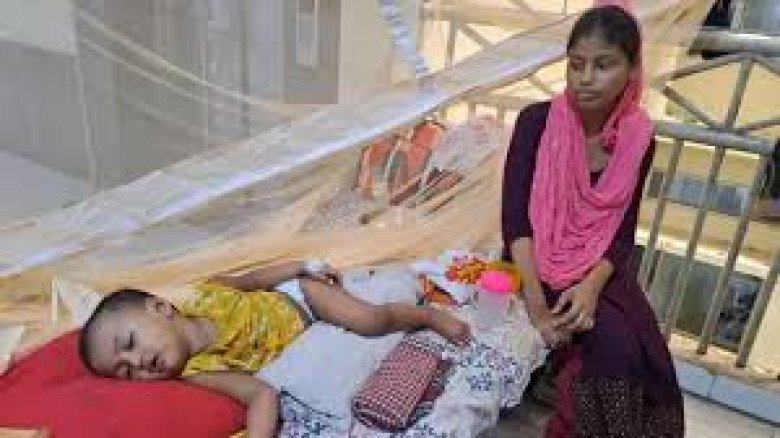ঢাকায় ডেঙ্গুর ভয়াবহতা: বাড়ছে মৃত্যু ও আক্রান্তের সংখ্যা