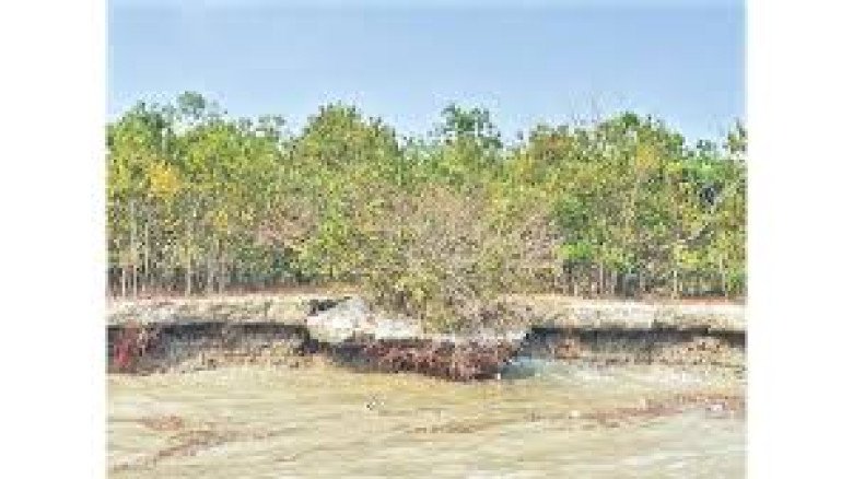 রাজনৈতিক দুর্বৃত্তায়ন ও ভূমি–বাণিজ্যের কবলে জলবায়ু উদ্বাস্ত