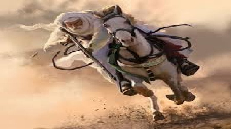 মরুভূমি ছেড়ে সমুদ্রতটে সিংহ: নামিবিয়ার ‘ডেজার্ট লায়ন’-এর অবি