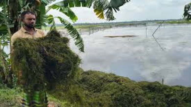 ক্ষুদ্রঋণ খাতে প্রথমবার বসছে স্বতন্ত্র পরিচালক: নিয়ন্ত্রণ বা