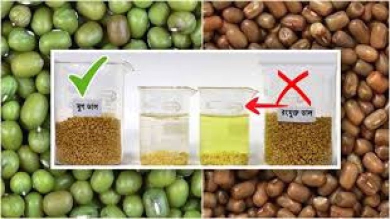 মুগ ডালের ছদ্মবেশে বাজারে ‘মথ’ ডাল: রঙ মেশানোয় বিপদ, সরকার দ