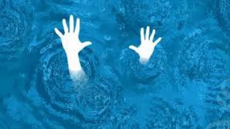 জাজিরায় পুকুরে ডুবে দুই শিশুর মৃত্যু