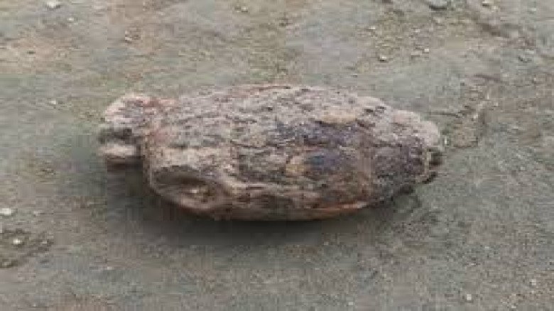 লালমনিরহাটে ফসলি জমি সমান করার সময় উদ্ধার হলো ১৯৭১ সালের মর