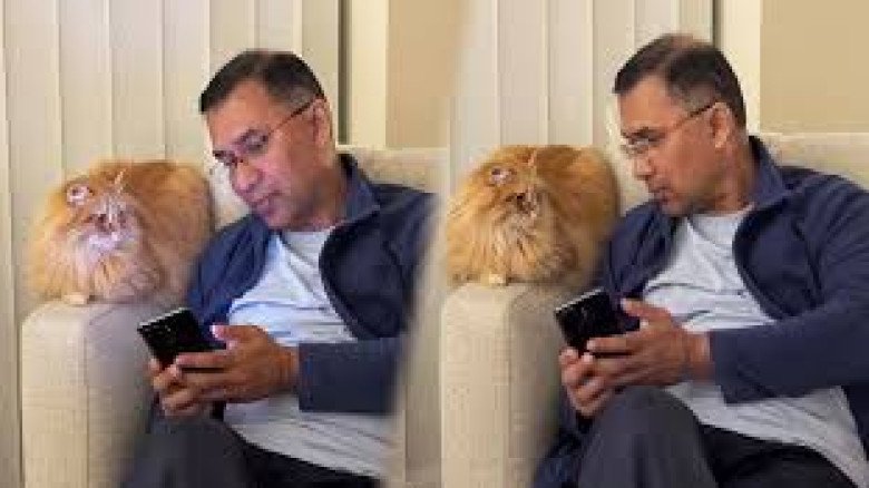 তারেক রহমানের সঙ্গে দেশে ফিরলো পোষা বিড়াল ‘জেবু’